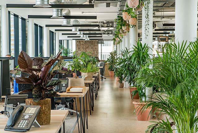 广州装建设计公司